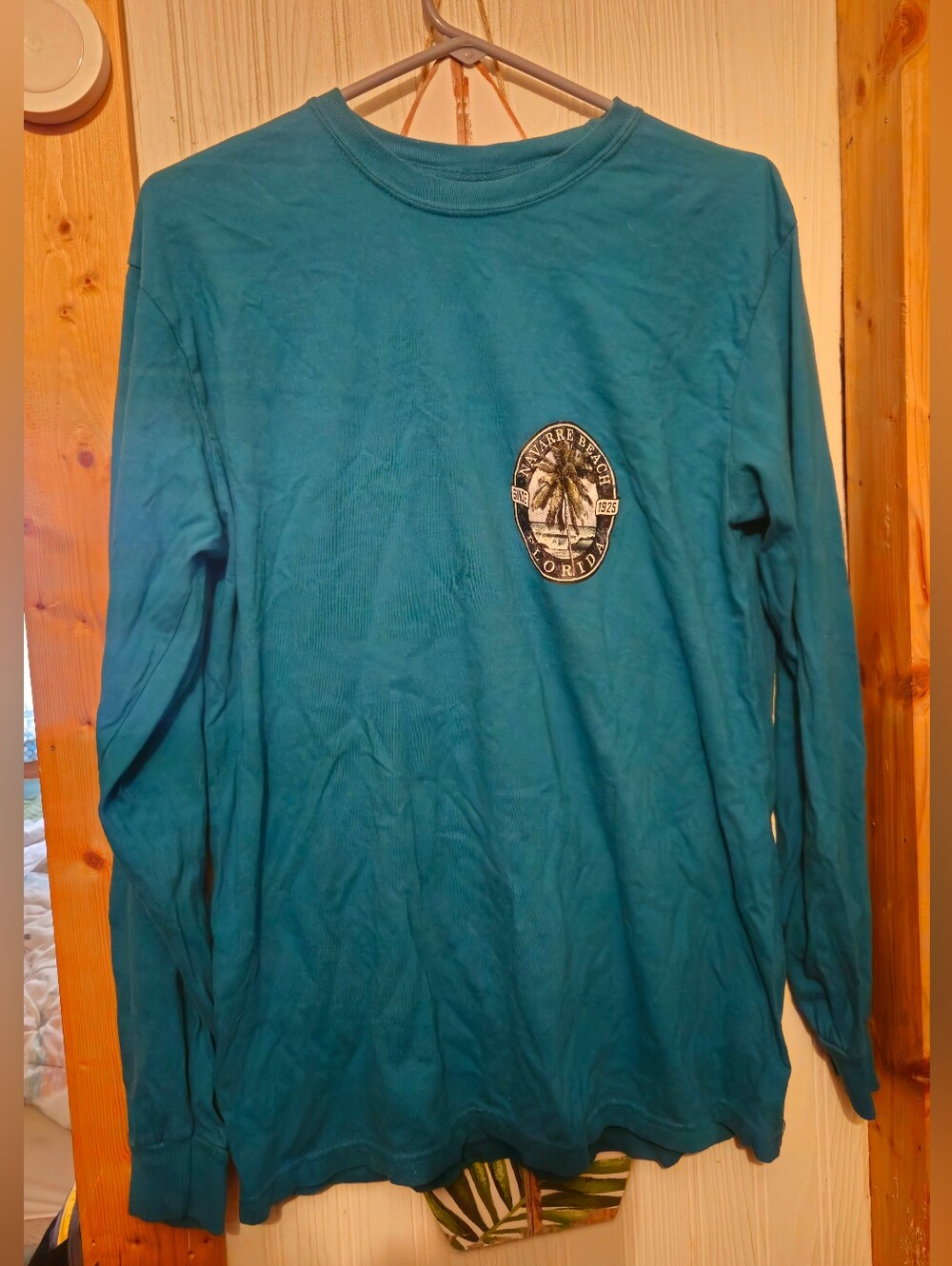 Teal Long-Sleeve Men’s T-Shirt with Florida Palm Graphic